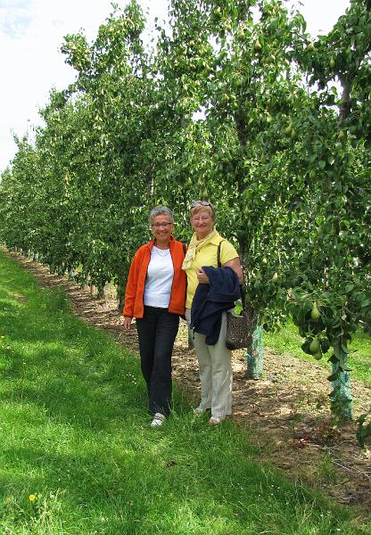 1ste Madammen aan het stuur, (90).jpg